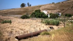 Die sizilianischen Landwirtschaftsbetriebe haben mit der schlimmsten Wasserkrise aller Zeiten zu kämpfen. (Bild: AFP/AFP )