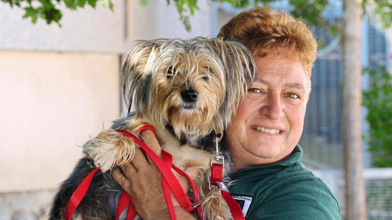 Susanne Bräuer (Bild: Jauschowetz Christian/Christian Jauschowetz)