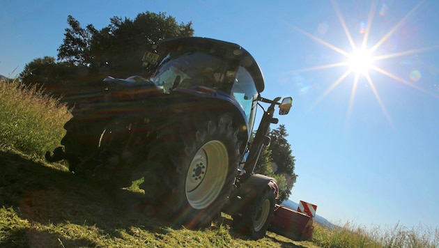 More than 18,000 farmers and foresters supply the Carinthian population with food and firewood. But they are not short of ideas either. (Bild: Evelyn Hronek/Evelyn HronekKamerawerk)