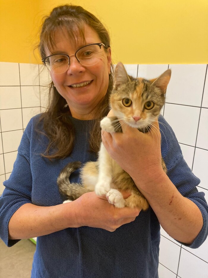 Claudia Herka hat etliche Vergabekatzen – auch diese herzige Glückskatze (sie ist rund 6 Monate alt) wartet noch auf ein neues Zuhause. 