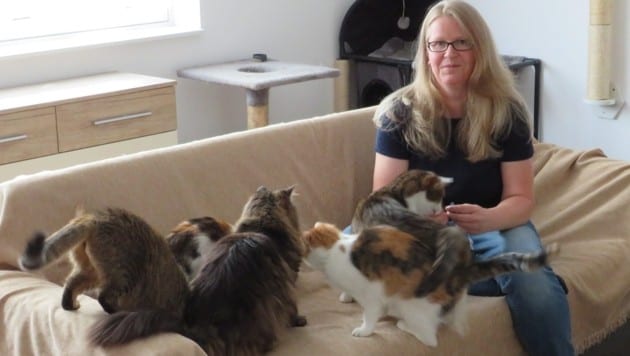 Sabine Auer's association is strongly committed to sustainable animal welfare and has already launched petitions for compulsory castration, organized numerous information stands and launched the platform kastrationspflicht.at. (Bild: Streunerkatzen OÖ)