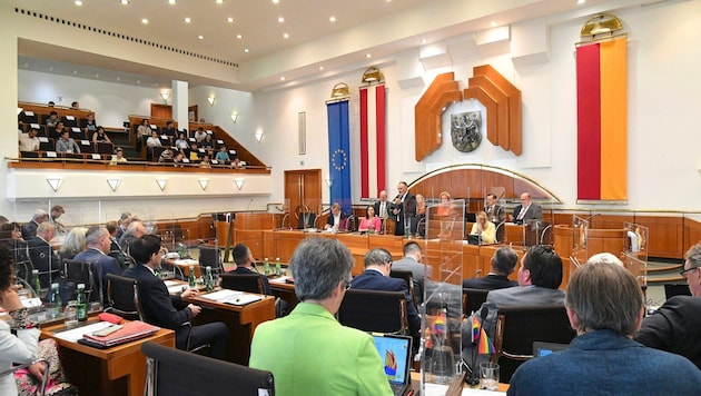 Michaela Brandlhofer will frischen Wind in den burgenländischen Landtag bringen. (Bild: Huber Patrick/P. Huber)