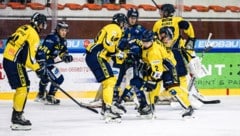 Zells Eisbären kehrten auf die Siegerstraße zurück. (Bild: Johannes Radlwimmer/EK Zeller Eisbären)