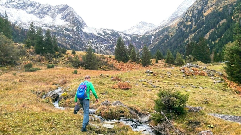 Über Stock und Stein leitet der urtümliche Steig gemütlich zu unserem Ziel. (Bild: Peter Freiberger)