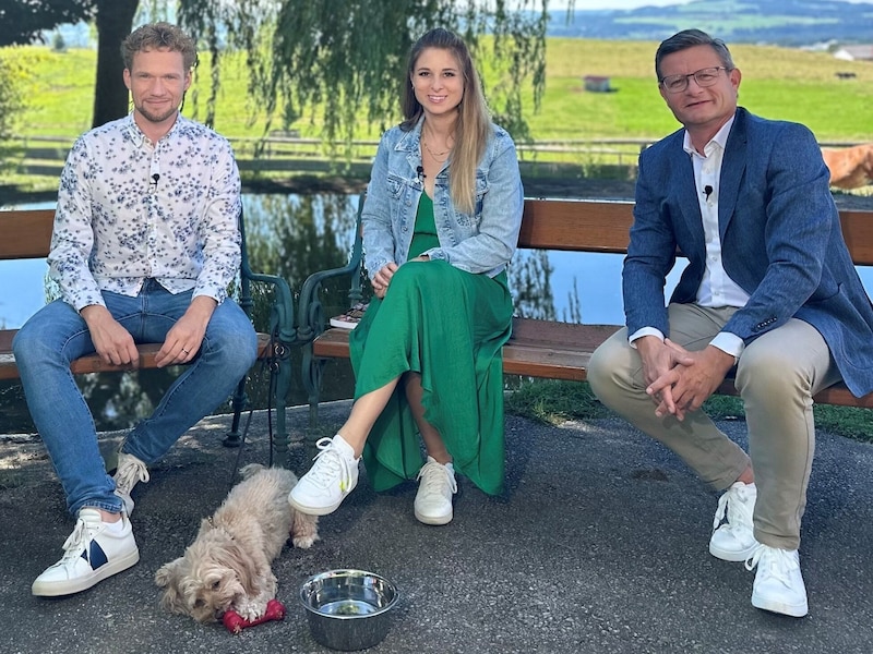 Fressnapf Austria Managing Director Hermann Aigner (right) in conversation with Thommy Ten and Amélie van Tass - with their animal magician "Koni" - at Gut Aiderbichl. (Bild: Jürgen Seiwaldstätter, Fressnapf Österreich)