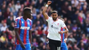 Liverpool hatte gegen Crystal Palace einige Schwierigkeiten.