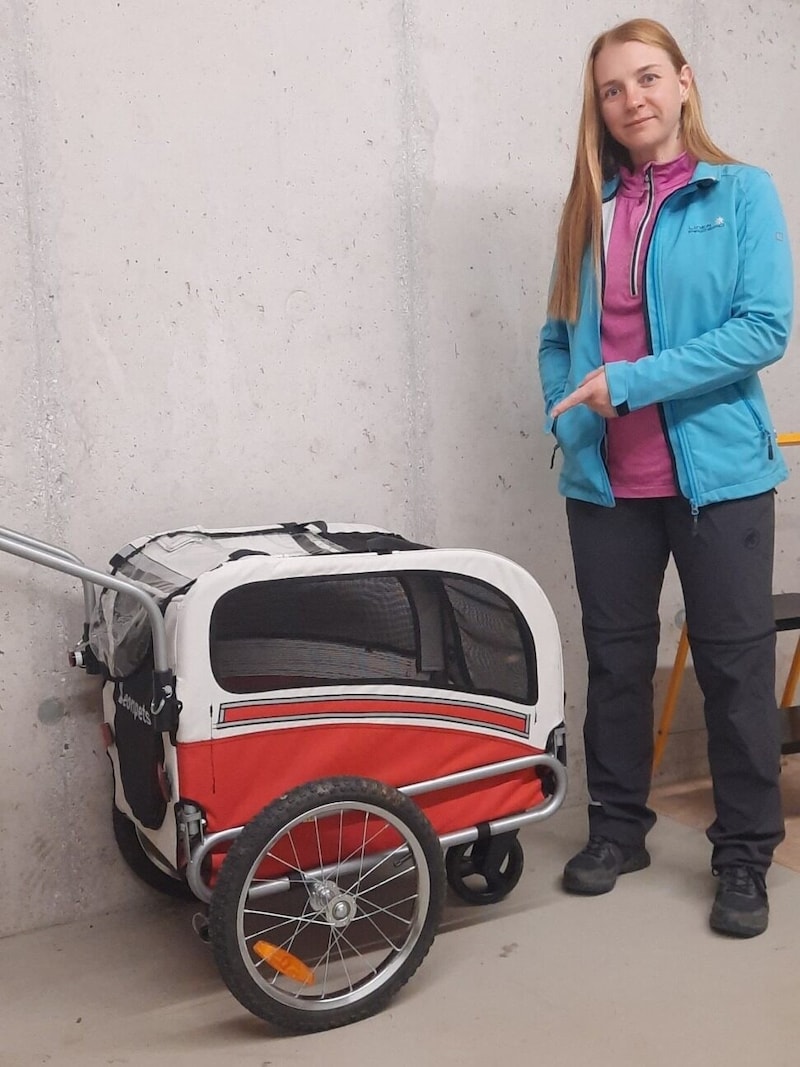 Jasmin H. wanted to transport her dogs in this bicycle trailer and came across the snake (Bild: zVg)