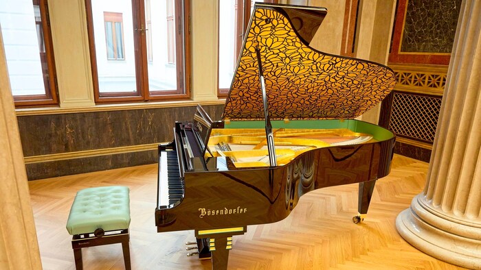 There was a lot of excitement about the golden grand piano in the new parliament.