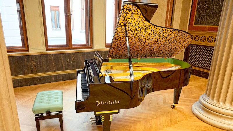 There was a lot of excitement about the golden grand piano in the new parliament. (Bild: picturedesk.com/Georges Schneider / picturedesk.com)