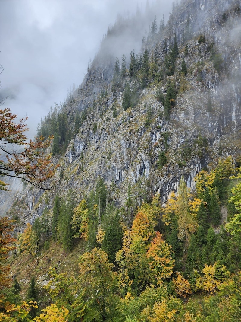 Der 21-Jährige war am selten begangenen Loansteig unterwegs. (Bild: Bergrettung Steiermark)