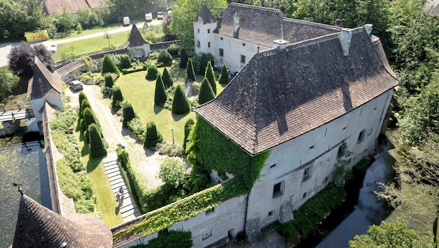 Malerei und starke Sprüche: Beim Schloss Totzenbach in der Schlossstraße 3. (Bild: Molnar Attila/Attila Molnar)