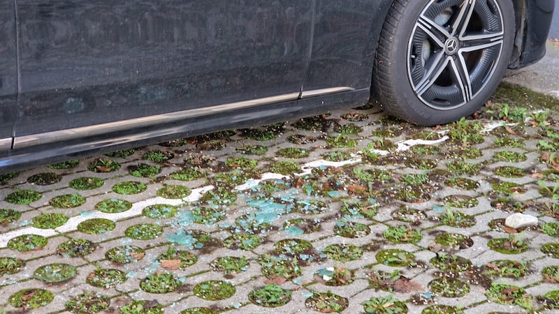 Fragments of the smashed side window (Bild: zVg)