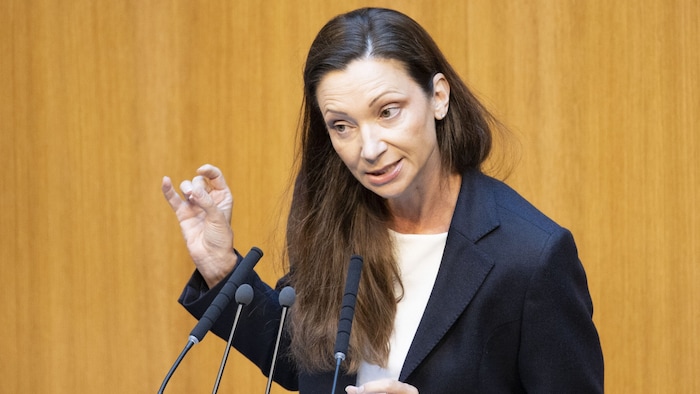 Mit Susanne Fürst könnte eine Frau aus den Reihen der FPÖ eines der höchsten Ämter im Staat ...