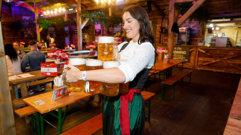 A full beer mug weighs 2.3 kilos. Bilibou can carry eight without any problems. (Bild: Holl Reinhard)