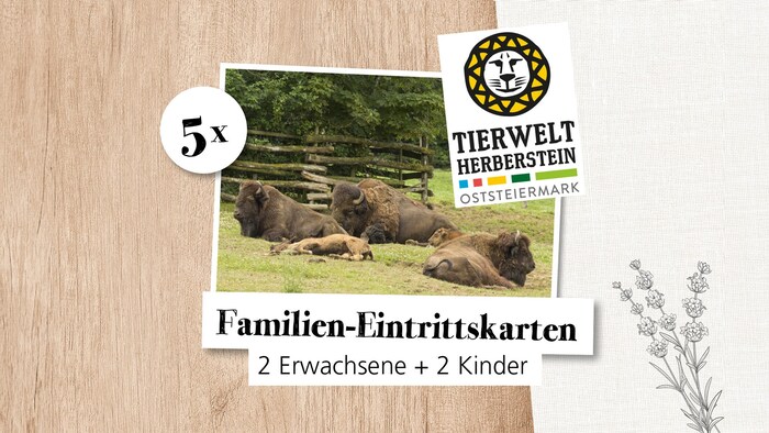 5x family admission tickets for 2 adults + 2 children