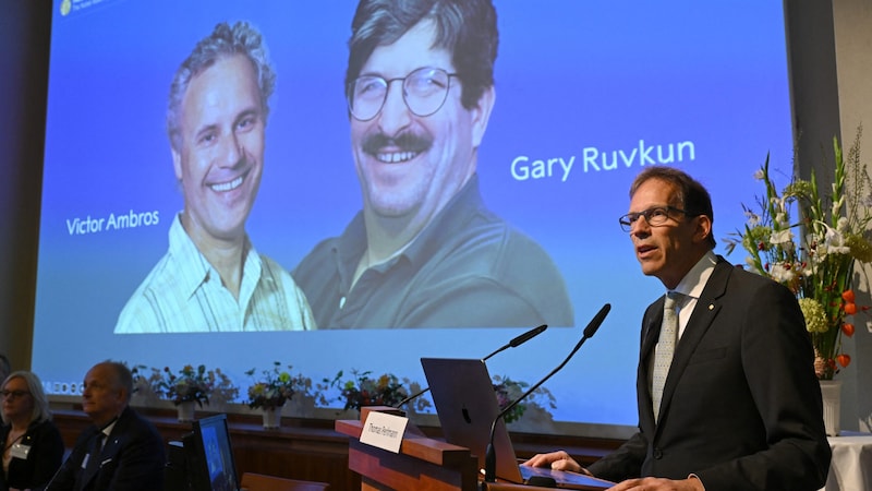 The 2024 Nobel Prize in Medicine and Physiology goes to Victor Ambros and Gary Ruvkun. (Bild: AFP/Jonathan Nackstrand)