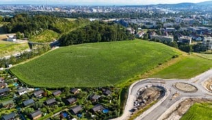 Aus dem geplanten IT:U-Standort im Linzer Grüngürtel wird nun nichts. (Bild: Werner Kerschbaummayr/WERNER KERSCHBAUMMAYR / FOTOKERSCHI)