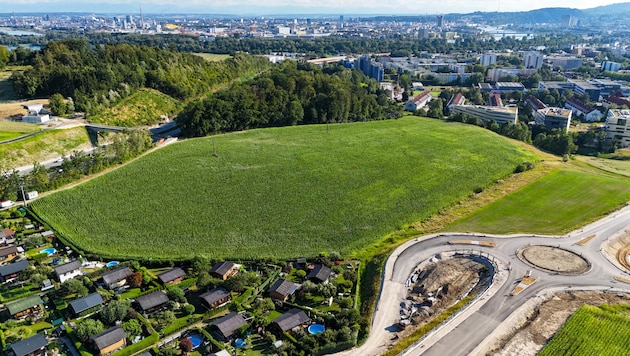 The planned IT:U site in Linz's green belt will now come to nothing. (Bild: Werner Kerschbaummayr/WERNER KERSCHBAUMMAYR / FOTOKERSCHI)