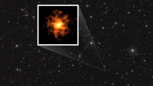 Diese Aufnahme zeigt die Galaxie REBELS-25 aus der Sicht des Teleskop-Verbundes ALMA, überlagert mit einem Infrarotbild anderer Sterne und Galaxien. (Bild:  ALMA (ESO/NAOJ/NRAO)/L. Rowlan et al., Krone KREATIV)