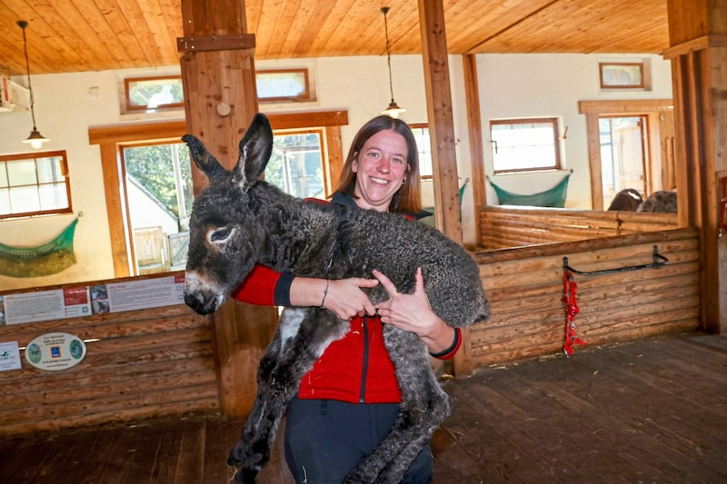 Keeper Lisa with the donkey girl. (Bild: Markus Tschepp)