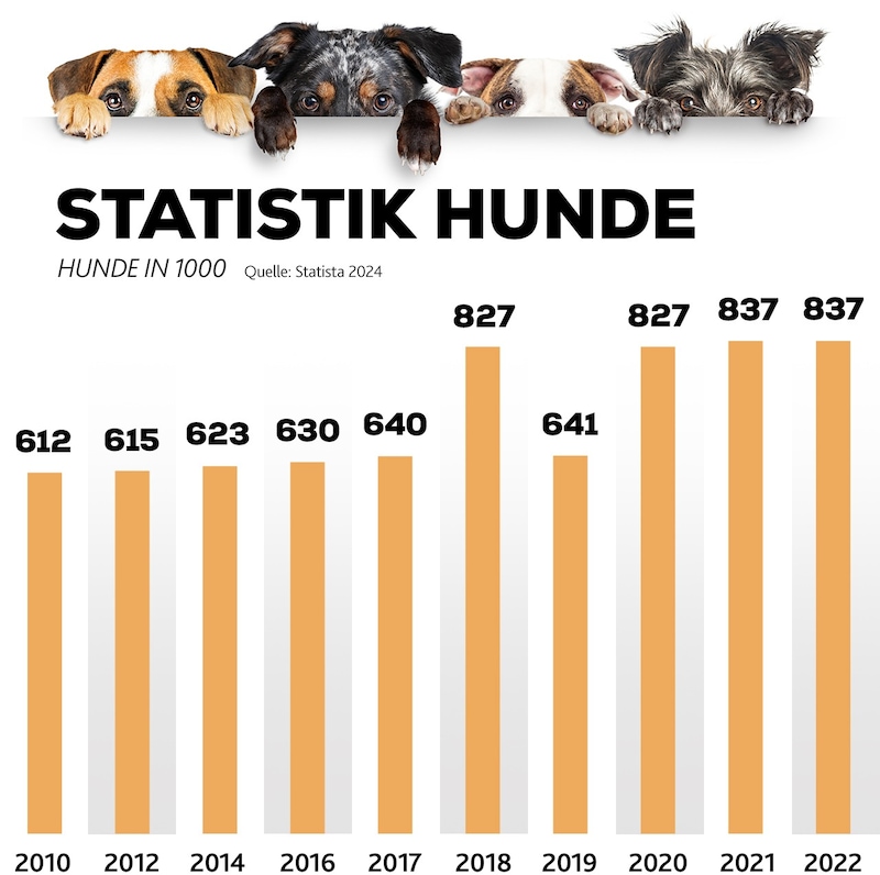 So viele Hunde sind in Österreich angemeldet. Der Anstieg während der Pandemie ist deutlich sichtbar.  (Bild: Krone KREATIV/Stock Adobe)