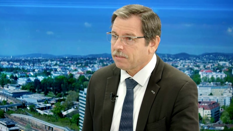 Iran expert Walter Posch from the Institute for Peacekeeping and Conflict Management at the National Defense Academy (Bild: krone.tv)