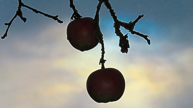 Der Himmel bleibt wolkenverhangen – die Sonne blinzelt wenig durch (Bild: Georg Wastl)