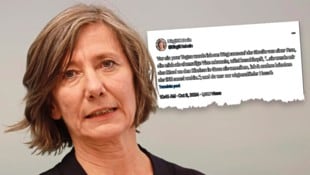 Ex-Grünen-Chefin Birgit Hebein (Bild: Krone KREATIV/Zwefo, zVg)