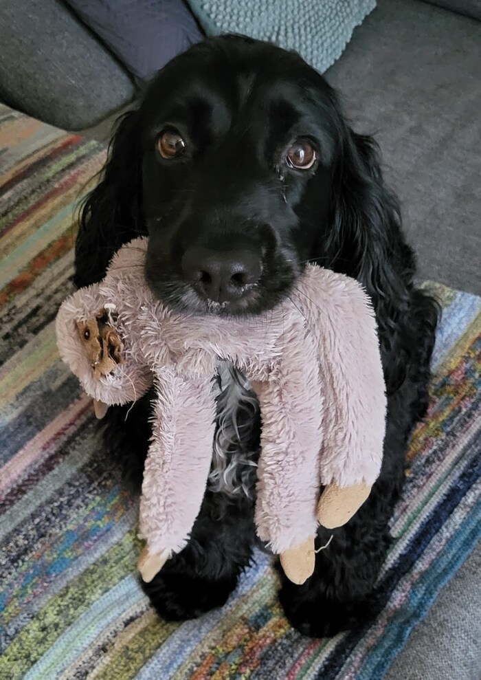 Lia wartet bis alle Familienmitglieder zu Hause sind