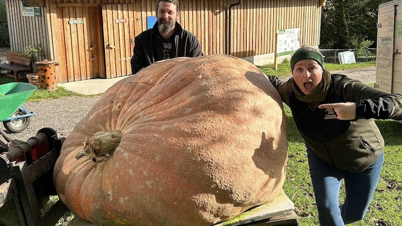 Head of the zoo Barbara Laher with the giant pumpkin and its grower Markus Vorauer (Bild: Tierpark Altenfelden)