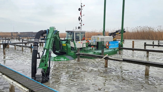 The excavators are getting underway. Work to remove mud and reeds from the lake will be in full swing until April 2025. (Bild: Seemanagement GmbH)