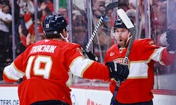 Die Panthers jubeln.