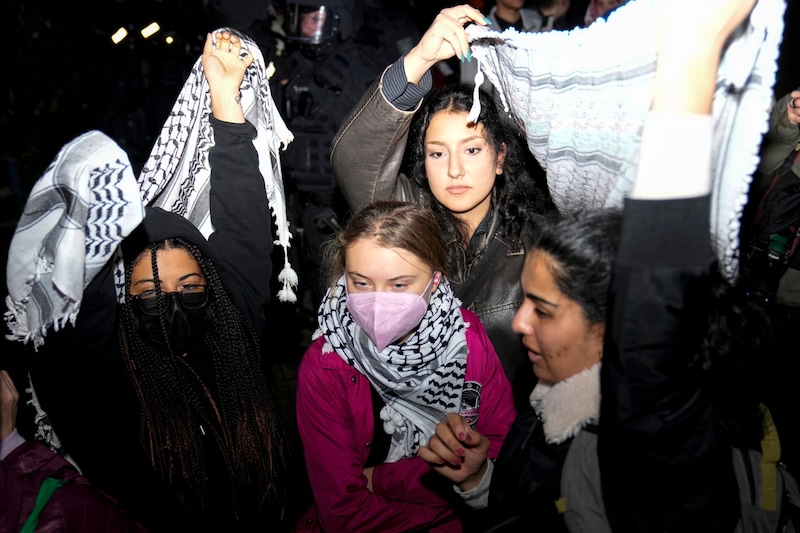 Thunberg bei einer Demonstration in Berlin (Bild: AP/Ebrahim Noroozi)