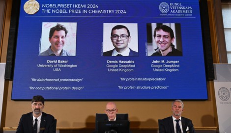 Der Nobelpreis für Chemie geht 2024 an die Proteinforscher David Baker, Demis Hassabis und John M. Jumper.  (Bild: APA Pool/AFP)