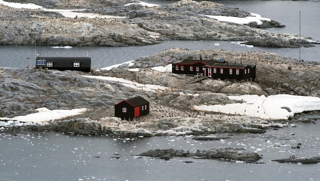 At the British base in Port Lockroy on Goudier Island, the most remote jobs in the world are probably assigned. (Bild: Christopher Prentiss Michel (CC BY 2.0))