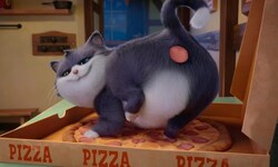 „Alles für die Katz“: Kater Beckett lässt es sich sichtlich schmecken.