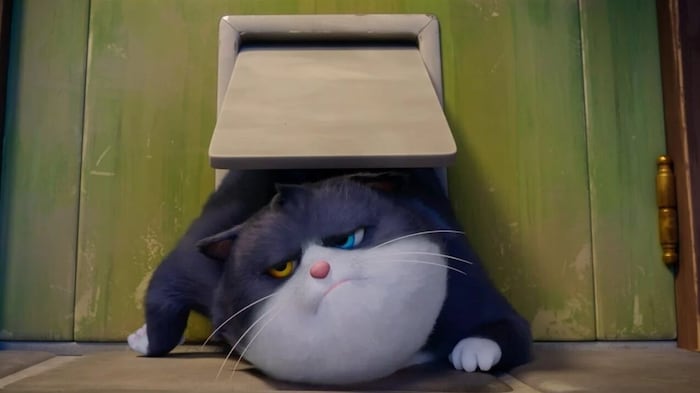 Ein Missgeschick katapultiert den Kater in den Katzenhimmel, wo er nochmal die Chance bekommt sich zu bessern. 