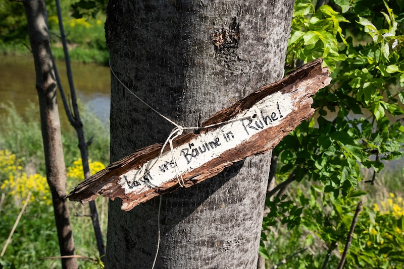 Auch viele Anrainer setzen sich für den Erhalt der Bäume ein. (Bild: Seebacher Doris)