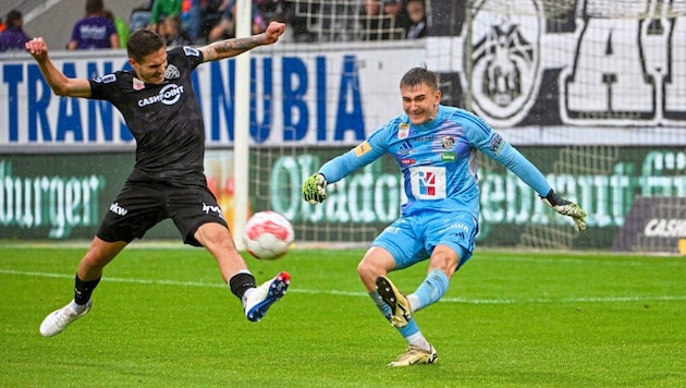 Will the clash between WAC and SCR Altach be exciting again this time? (Bild: GEPA/GEPA pictures)