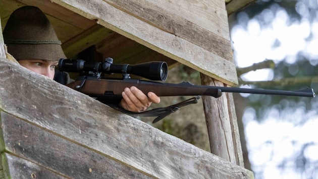 Father (63) and son (33) allegedly poached a doe in Lengau (symbolic image) (Bild: Pressefoto Scharinger/Daniel Scharinger)