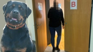 Rottweiler-Hündin „Kim“ zwang sich durch das Gartentor, als die 21-jährige Angeklagte die Aufsicht über das Tier hatte.  (Bild: Krone KREATIV/Anja Richter, Marlin Wolf Photography)