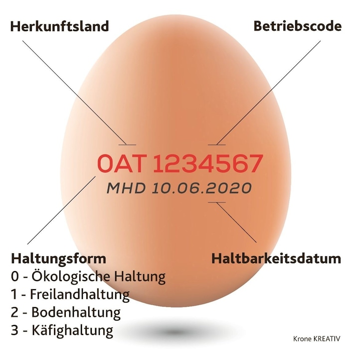 Die erste Ziffer gibt Auskunft über die Haltungsform (0: Biohaltung, 1: Freilandhaltung usw.). ...