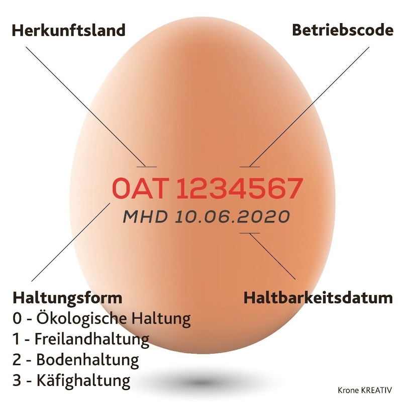 Die erste Ziffer gibt Auskunft über die Haltungsform (0: Biohaltung, 1: Freilandhaltung usw.). Die folgenden Buchstaben stehen für das Herkunftsland, wobei AT für Österreich steht. Die Betriebsnummer des landwirtschaftlichen Betriebs wird ebenfalls angegeben. Das Mindesthaltbarkeitsdatum (MHD) wird freiwillig hinzugefügt. (Bild: Krone KREATIV)