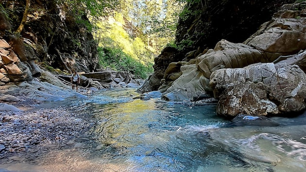 The valley in the Rätikon is still largely undeveloped due to its remoteness. (Bild: Bergauer Rubina)