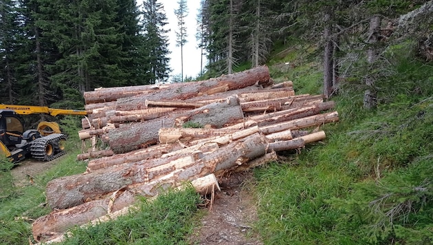 Wanderwege, die in die Kreuzeckgruppe führen, sind von Baumstämmen verletzt.  (Bild: zvg )