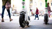Vom Trend zum Zankapfel: Obwohl Juristen des Magistrats daran zweifeln, dass sektorale Verbote ...