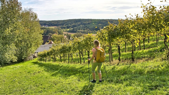 Entlang der idyllischen Weingärten lässt es sich wahrlich abschalten.