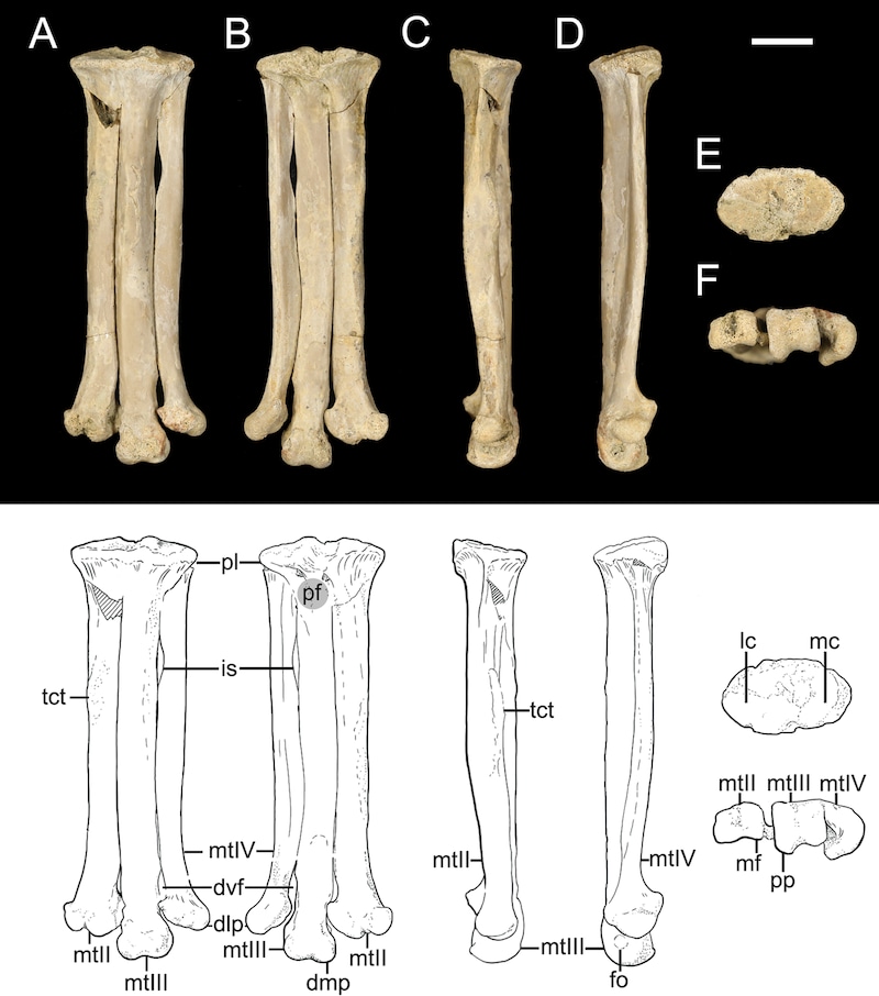 (Bild: journals.plos.org)