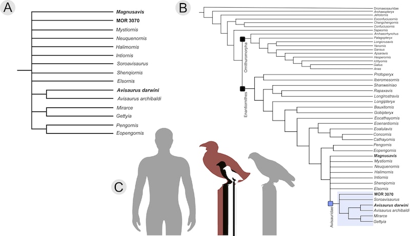 (Bild: journals.plos.org)