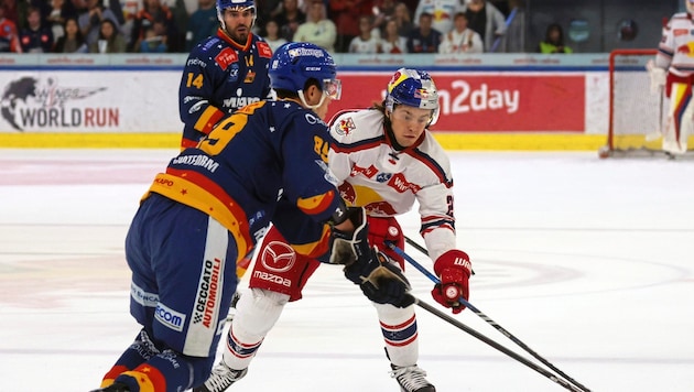 The Bulls' top scorer with eight points: Troy Bourke (right) (Bild: Tröster Andreas/Kronen Zeitung)